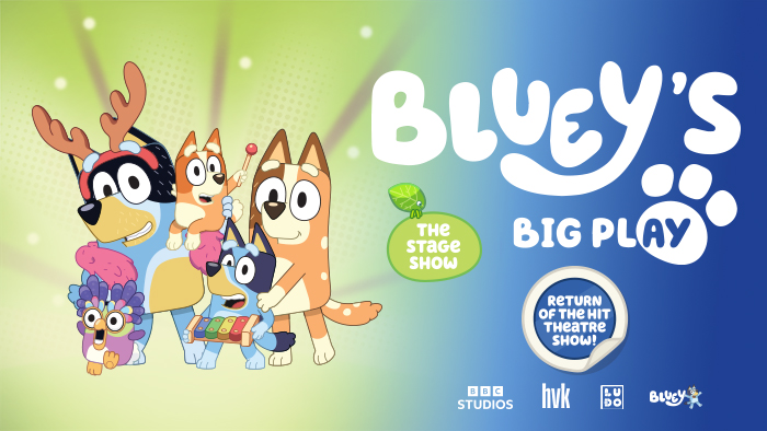 BLUEY'S BIG PLAY