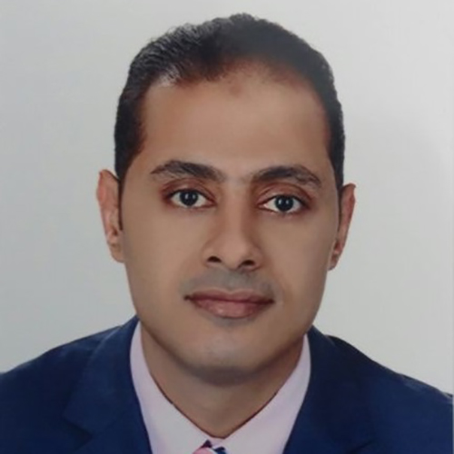 Asst. Dir. of Laboratory for Synthetic-Biologic Interactions Mahmoud Elsabahy 