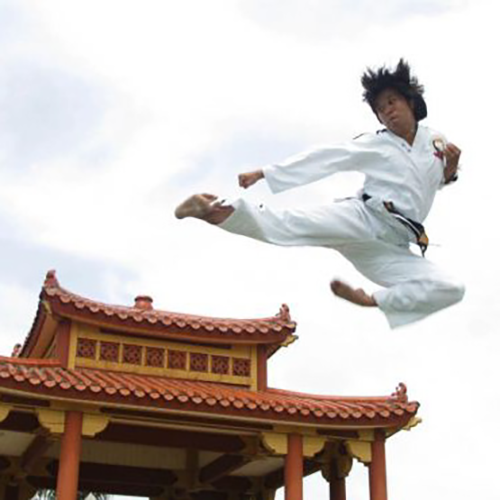 Tae Kwon-Do Master and Director of Education Kim-Anh Nguyen Dang 