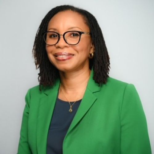 Assistant Professor  |  Dept. of Info Tech & Decision Sci. Obi Ogbanufe 